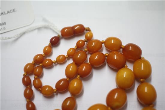 A single strand graduated oval amber bead necklace, 44cm.